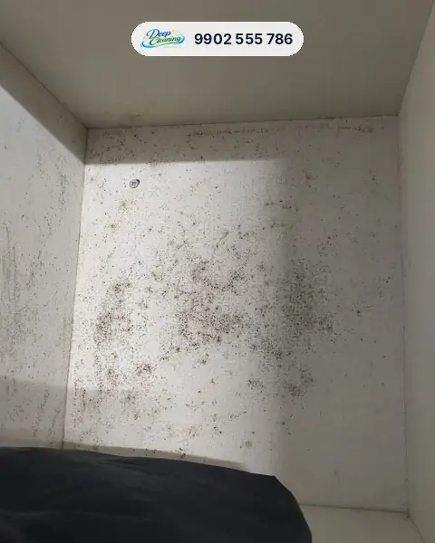 Inside of a white cabinet covered in dark spots and fine dust